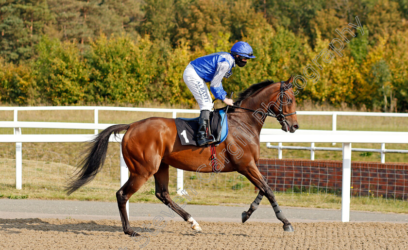 Global-Art-0001 
 GLOBAL ART (Ryan Moore) winner of The tote.co.uk Free Streaming Every UK Race Handicap Div1
Chelmsford 20 Sep 2020 - Pic Steven Cargill / Racingfotos.com