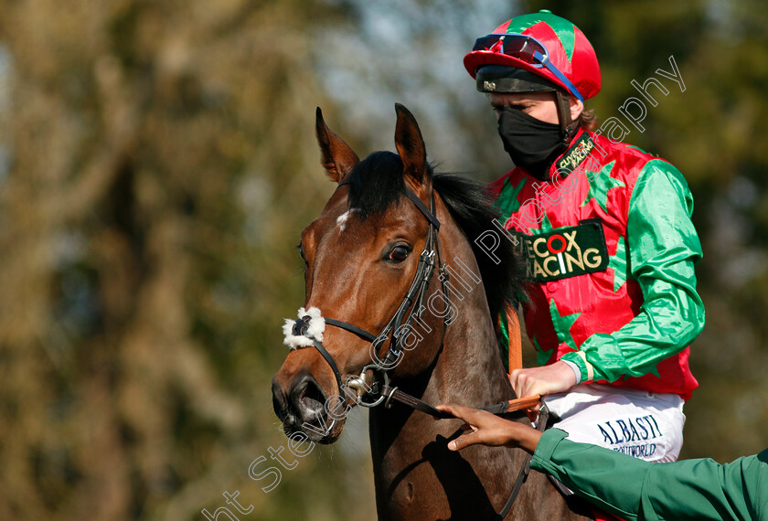 Diligent-Harry-0002 
 DILIGENT HARRY (Adam Kirby) winner of The Ladbrokes 3 Year Old All-Weather Championships Conditions Stakes
Lingfield 2 Apr 2021 - Pic Steven Cargill / Racingfotos.com