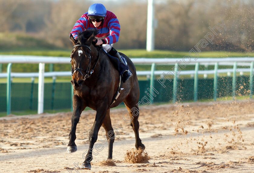 Country n western-0004 
 COUNTRY'N'WESTERN (Darragh Keenan) wins The #Betyourway At Betway Handicap
Southwell 11 Dec 2018 - Pic Steven Cargill / Racingfotos.com