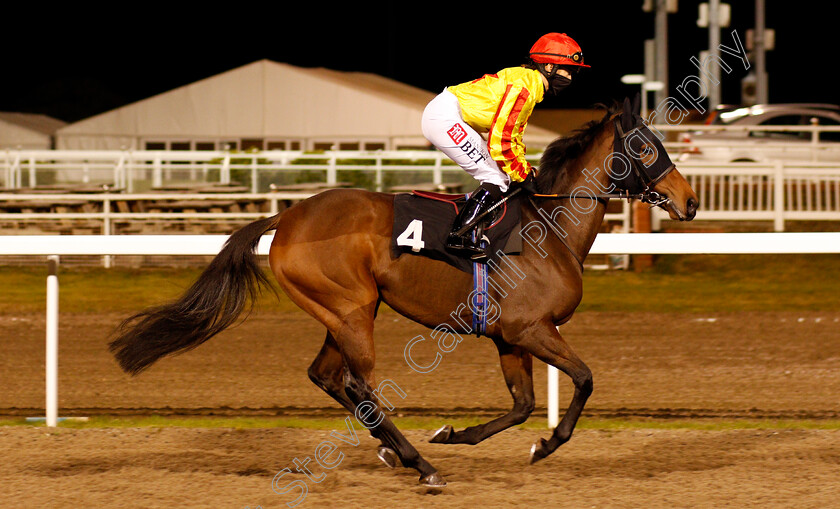 Tampere-0001 
 TAMPERE (Hayley Turner)
Chelmsford 22 Oct 2020 - Pic Steven Cargill / Racingfotos.com