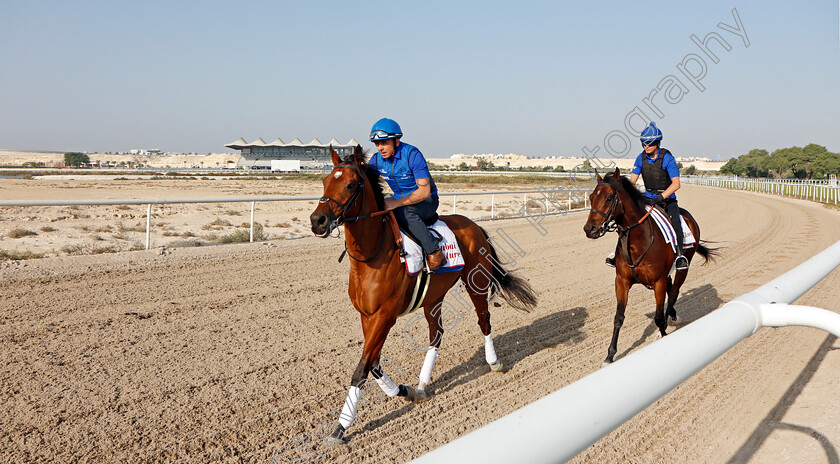 Dubai-Future-and-Zakouski-0002 
 DUBAI FUTURE leads ZAKOUSKI exercising in preparation for Friday's Bahrain International Trophy
Sakhir Racecourse, Bahrain 17 Nov 2021 - Pic Steven Cargill / Racingfotos.com