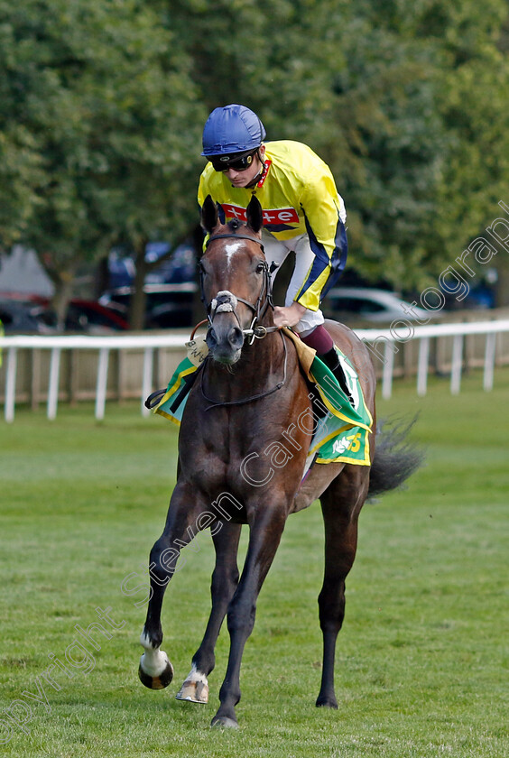 Spanish-Phoenix-0001 
 SPANISH PHOENIX (Rob Hornby)
Newmarket 15 Jul 2023 - Pic Steven Cargill / Racingfotos.com