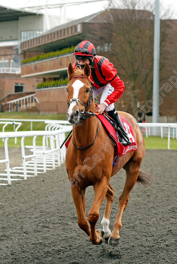 Stormy-Antarctic-0001 
 STORMY ANTARCTIC (Luke Morris)
Kempton 27 Mar 2021 - Pic Steven Cargill / Racingfotos.com