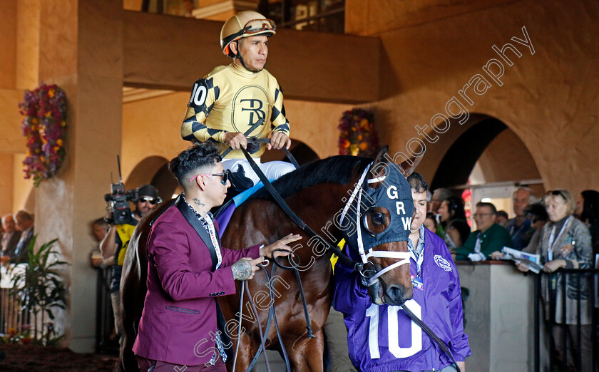 Governor-Sam-0001 
 GOVERNOR SAM (Paco Lopez)
Del Mar 1 Nov 2024 - Pic Steven Cargill / Racingfotos.com