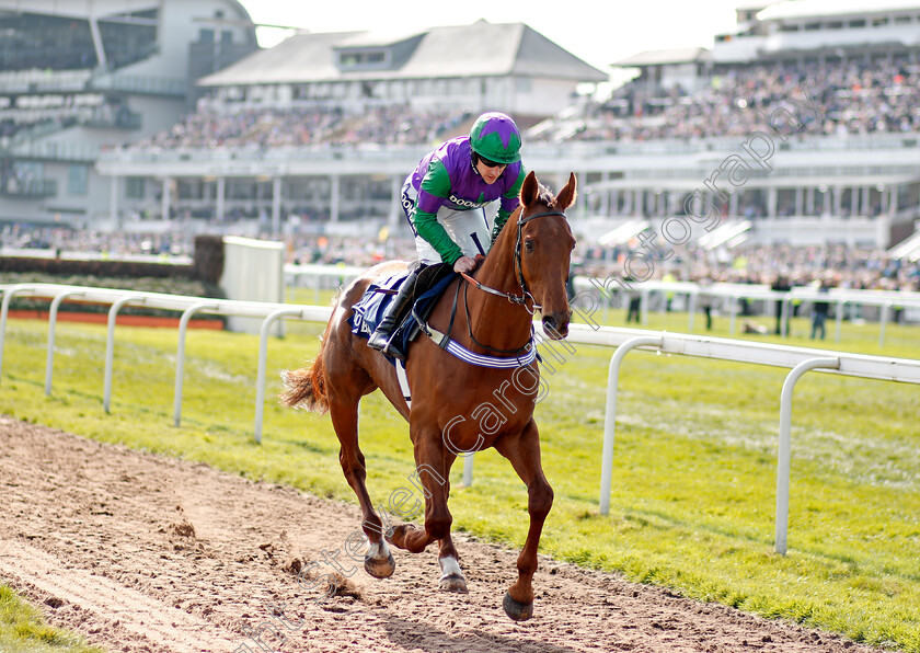 Delegate-0001 
 DELEGATE (Brian Hughes) Aintree 14 Apr 2018 - Pic Steven Cargill / Racingfotos.com