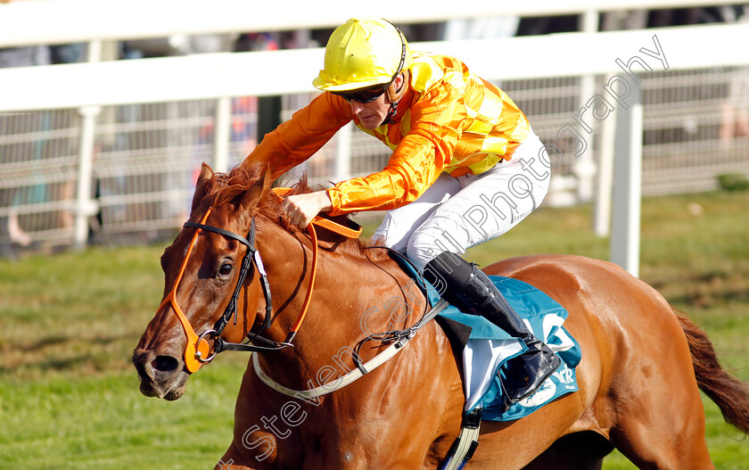 Treasure-Trove-0007 
 TREASURE TROVE (W J Lee) wins The Julia Graves Roses Stakes
York 20 Aug 2022 - Pic Steven Cargill / Racingfotos.com