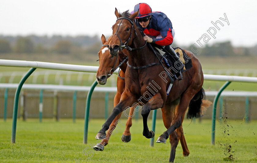 Misty-Sky-0003 
 MISTY SKY (Aidan Keeley) wins The Prestige Vehicles Fillies Restricted Novice Stakes
Newmarket 23 Oct 2024 - Pic Steven Cargill / Racingfotos.com