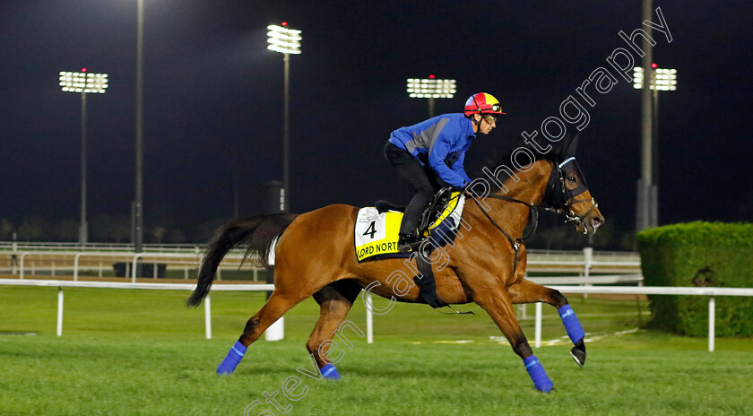 Lord-North-0002 
 LORD NORTH (Frankie Dettori) training for The Dubai Turf
Meydan Dubai 28 Mar 2024 - Pic Steven Cargill / Racingfotos.com