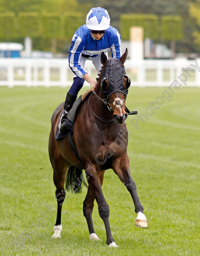 Good-Birthday 
 GOOD BIRTHDAY (Harry Davies)
Ascot 27 Apr 2022 - Pic Steven Cargill / Racingfotos.com