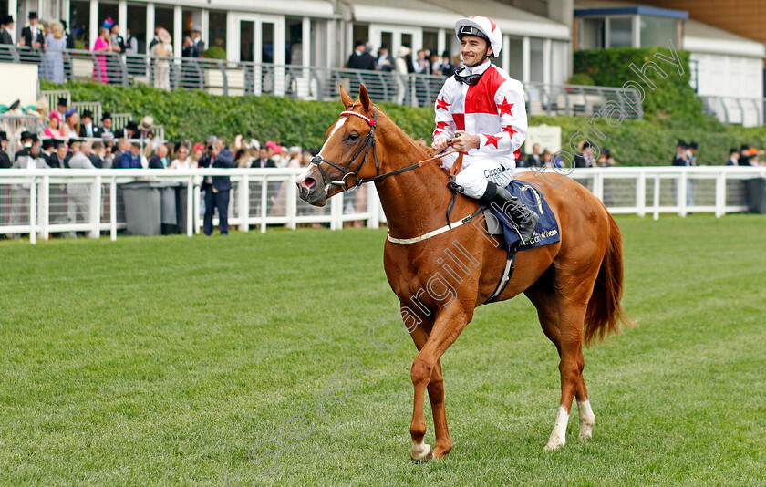 Holloway-Boy-0009 
 HOLLOWAY BOY (Daniel Tudhope) after The Chesham Stakes
Royal Ascot 18 Jun 2022 - Pic Steven Cargill / Racingfotos.com