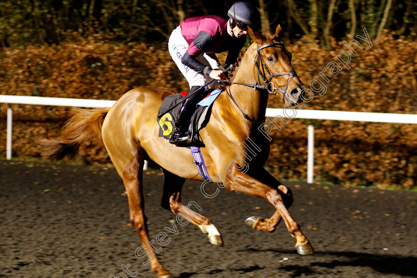 Master-Milan-0001 
 MASTER MILAN (Jack Mitchell)
Kempton 4 Dec 2024 - Pic Steven Cargill / Racingfotos.com