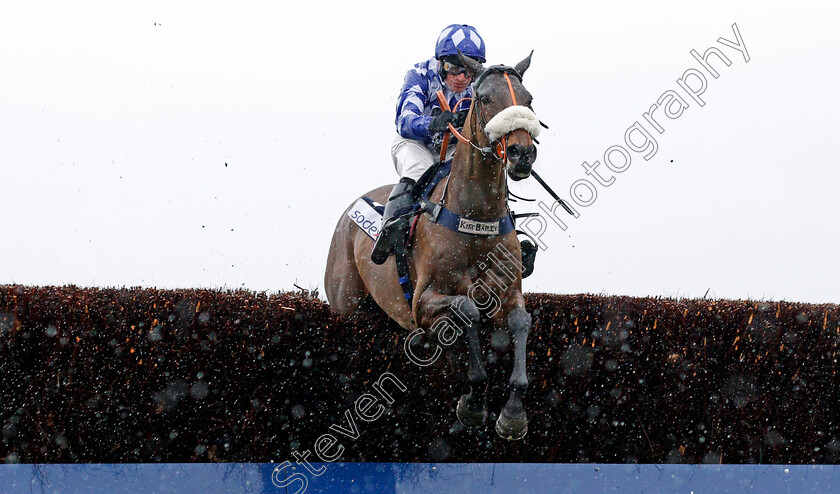 Does-He-Know-0001 
 DOES HE KNOW (David Bass) wins The Bateaux London Reynoldstown Novices Chase
Ascot 19 Feb 2022 - Pic Steven Cargill / Racingfotos.com