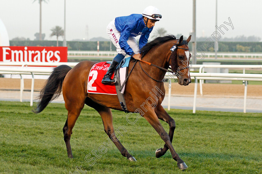 Folkswood-0001 
 FOLKSWOOD (William Buick) Meydan 10 Mar 2018 - Pic Steven Cargill / Racingfotos.com