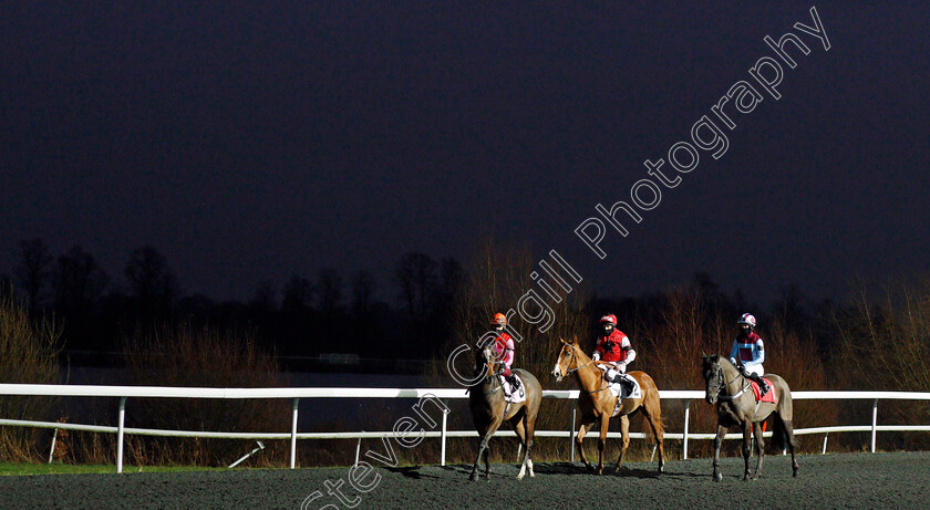 Nortonthorpe-Boy-0001 
 NORTONTHORPE BOY (right, Grace McEntee) before winning The Unibet Extra Place Offers Every Day Handicap
Kempton 13 Jan 2021 - Pic Steven Cargill / Racingfotos.com