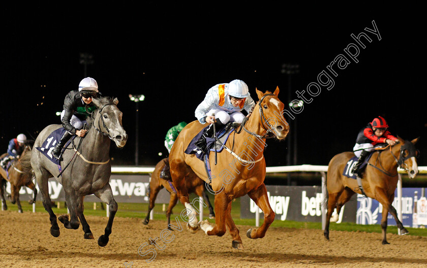 Watheer-0002 
 WATHEER (right, Ben Curtis) beats WHERE NEXT JO (left) in The Bombardier Golden Beer Classified Stakes
Wolverhampton 21 Feb 2020 - Pic Steven Cargill / Racingfotos.com