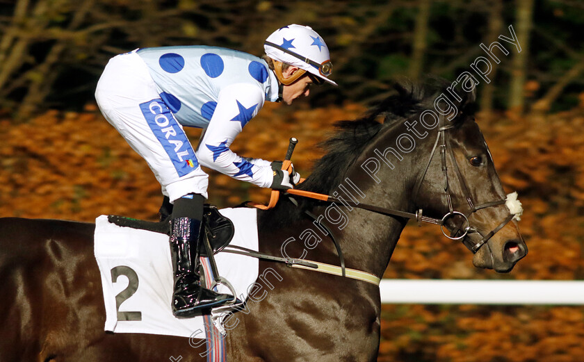 Midnight-Ravens-0001 
 MIDNIGHT RAVENS (Kieran O'Neill)
Kempton 13 Dec 2023 - Pic Steven Cargill / Racingfotos.com