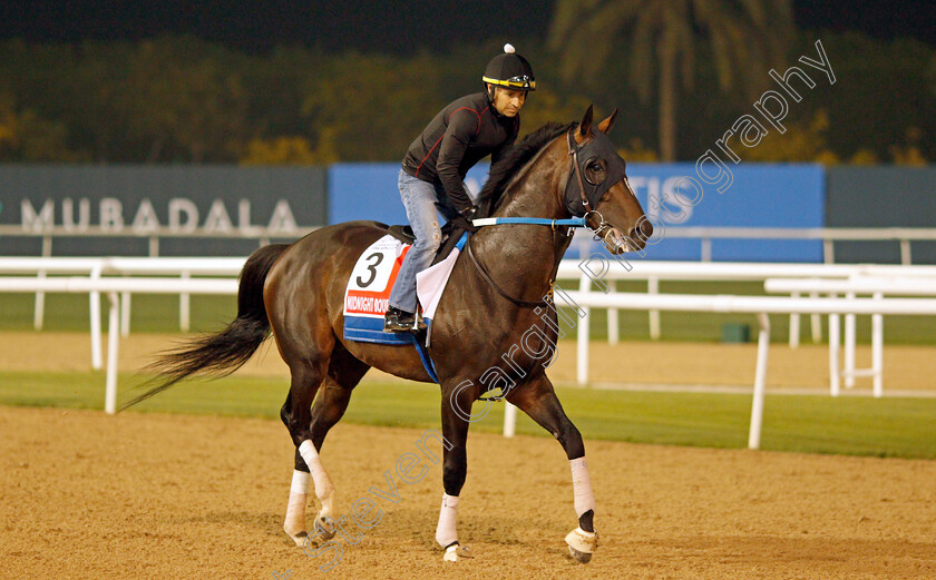 Midnight-Bourbon-0005 
 MIDNIGHT BOURBON training for the Dubai World Cup
Meydan, Dubai, 22 Mar 2022 - Pic Steven Cargill / Racingfotos.com