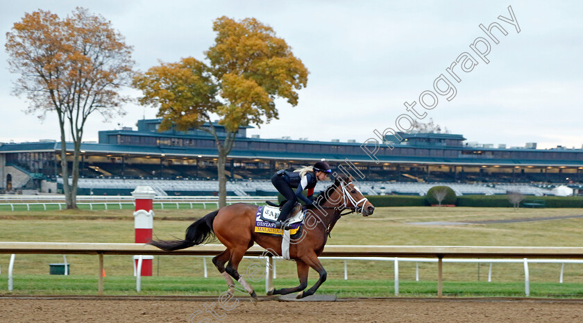 Malathaat-0002 
 MALATHAAT training for the Breeders' Cup Distaff
Keeneland, USA 31 Oct 2022 - Pic Steven Cargill / Racingfotos.com