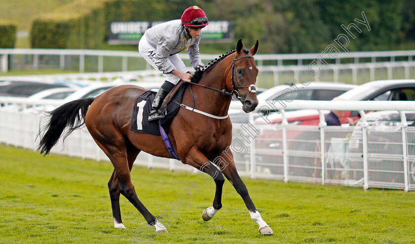 Toro-Strike-0001 
 TORO STRIKE (Ryan Moore) winner of The Weatherbys Hamilton Supreme Stakes
Goodwood 29 Aug 2021 - Pic Steven Cargill / Racingfotos.com