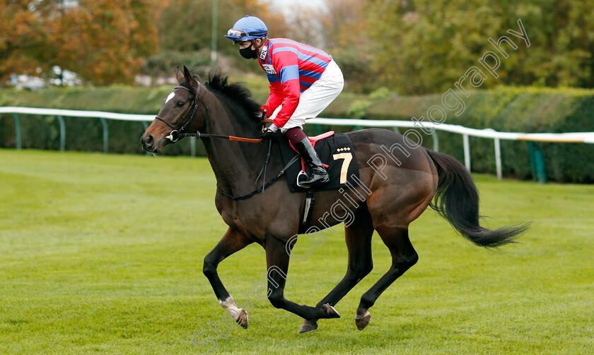 Land-Of-Winter-0001 
 LAND OF WINTER (Rob Hornby) winner of The Play 3-2-Win At Mansionbet Handicap
Nottingham 28 Oct 2020 - Pic Steven Cargill / Racingfotos.com