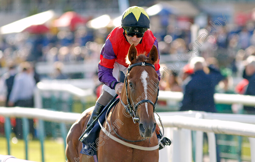 Thunder-Wonder-0001 
 THUNDER WONDER (Joe Fanning)
Doncaster 12 Sep 20234 - Pic Steven Cargill / Racingfotos.com