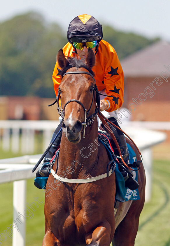 Charlie-Mason-0001 
 CHARLIE MASON (Ben Curtis)
York 16 Jun 2023 - Pic Steven Cargill / Racingfotos.com