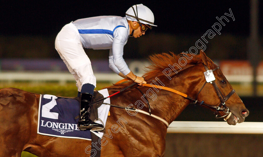 Hypothetical-0010 
 HYPOTHETICAL (Mickael Barzalona) wins The Firebreak Stakes
Meydan, 4 Feb 2022 - Pic Steven Cargill / Racingfotos.com