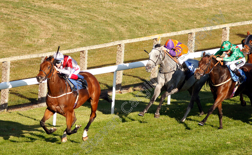 Beyond-Equal-0005 
 BEYOND EQUAL (Fran Berry) wins The Booker Ltd Handicap
Salisbury 3 Oct 2018 - Pic Steven Cargill / Racingfotos.com