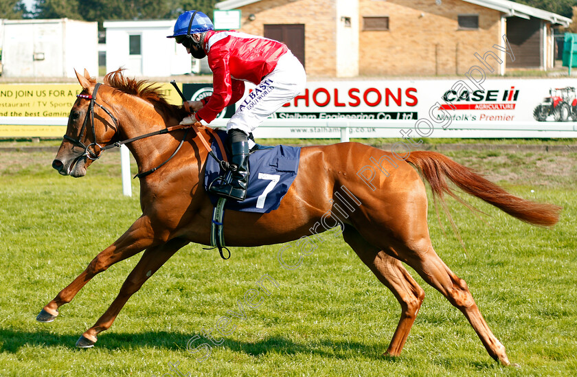 Conservatoire-0001 
 CONSERVATOIRE (Tom Marquand)
Yarmouth 15 Sep 2020 - Pic Steven Cargill / Racingfotos.com