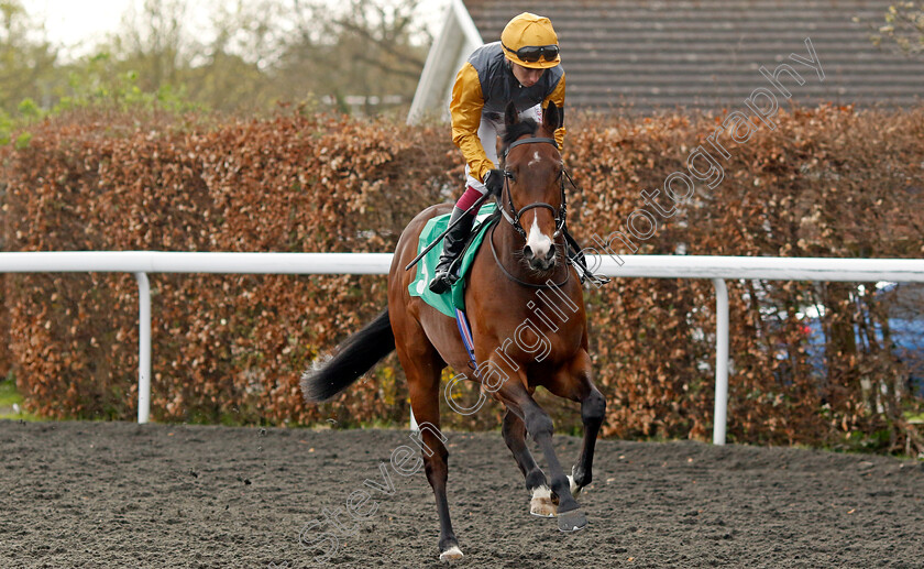 Witness-Stand-0001 
 WITNESS STAND (Oisin Murphy)
Kempton 6 Apr 2024 - Pic Steven Cargill / Racingfotos.com