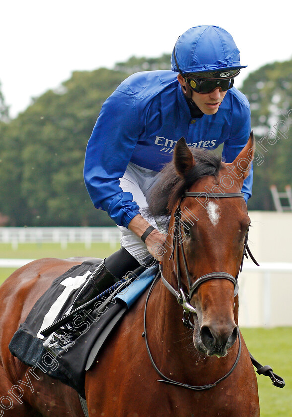 Man-Of-Promise-0001 
 MAN OF PROMISE (James Doyle)
Ascot 26 Jul 2019 - Pic Steven Cargill / Racingfotos.com