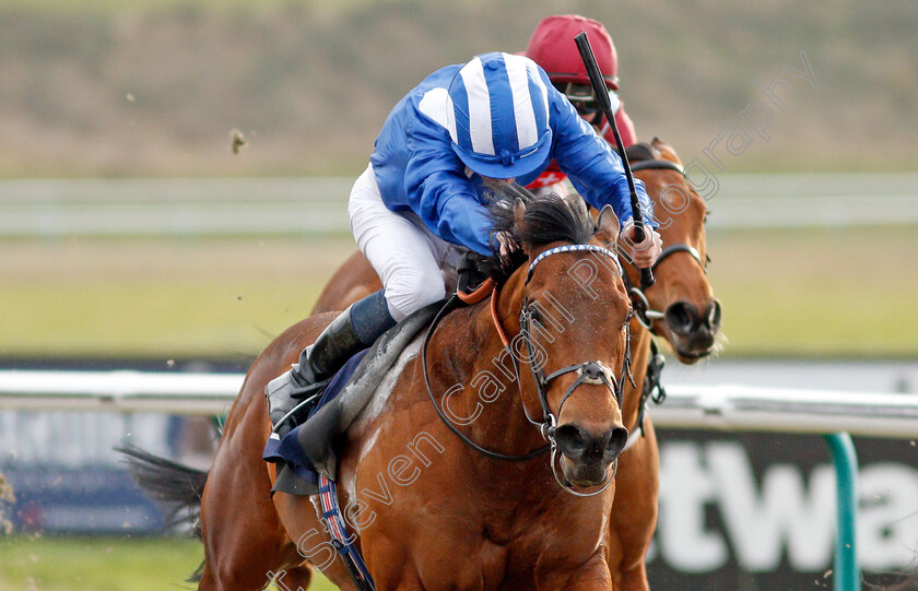 Badri-0005 
 BADRI (Kieran Shoemark) wins The Ladbrokes Handicap
Lingfield 14 Feb 2020 - Pic Steven Cargill / Racingfotos.com