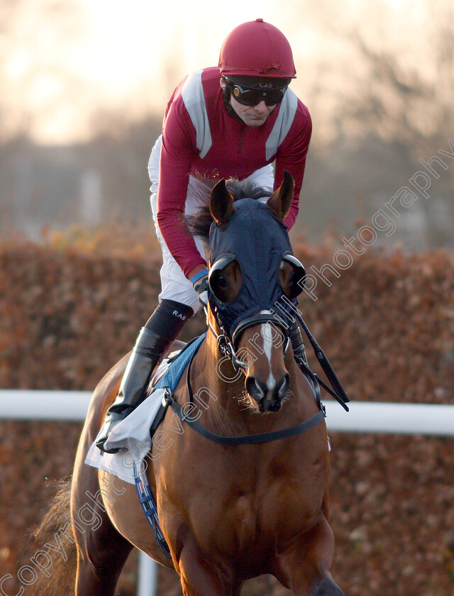 Reeth-0001 
 REETH (Robert Havlin) winner of The 32Red Casino Handicap
Kempton 4 Jan 2019 - Pic Steven Cargill / Racingfotos.com