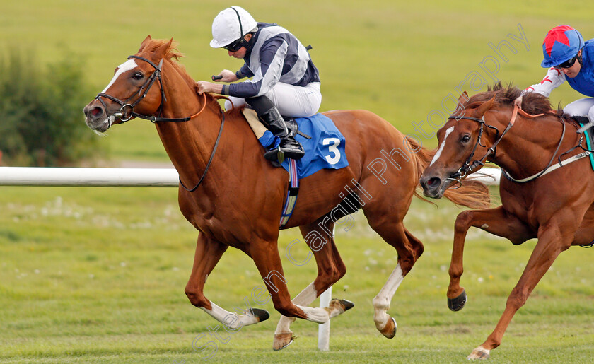 Dante s-View-0002 
 DANTE'S VIEW (Ryan Moore)
Leicester 10 Sep 2019 - Pic Steven Cargill / Racingfotos.com