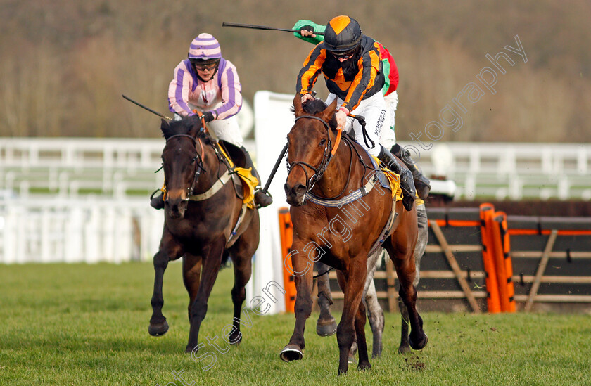 Thibault-0001 
 THIBAULT (Richard Patrick)
Ascot 20 Feb 2021 - Pic Steven Cargill / Racingfotos.com