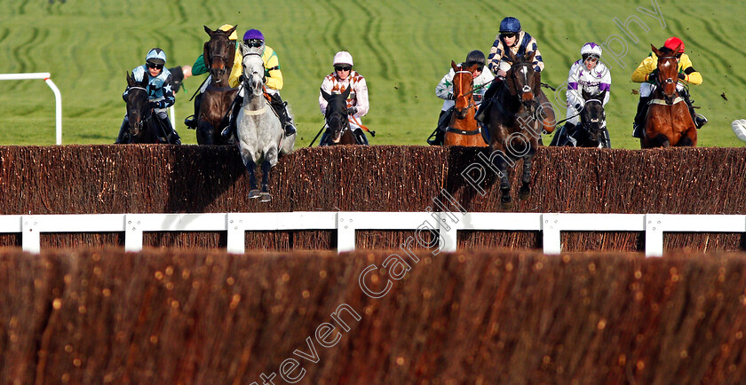 Mick-Thonic-0001 
 MICK THONIC (left) and FESTIVE AFFAIR (right) lead the field at Cheltenham 17 Nov 2017 - Pic Steven Cargill / Racingfotos.com