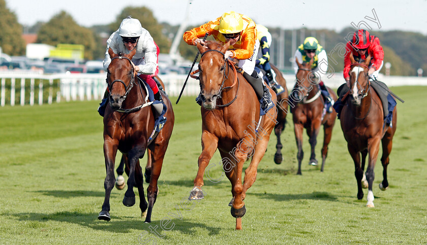 Sleeping-Lion-0004 
 SLEEPING LION (centre, Jamie Spencer) beats CHARLES KINGSLEY (left) in The William Hill Mallard Handicap
Doncaster 13 Sep 2019 - Pic Steven Cargill / Racingfotos.com