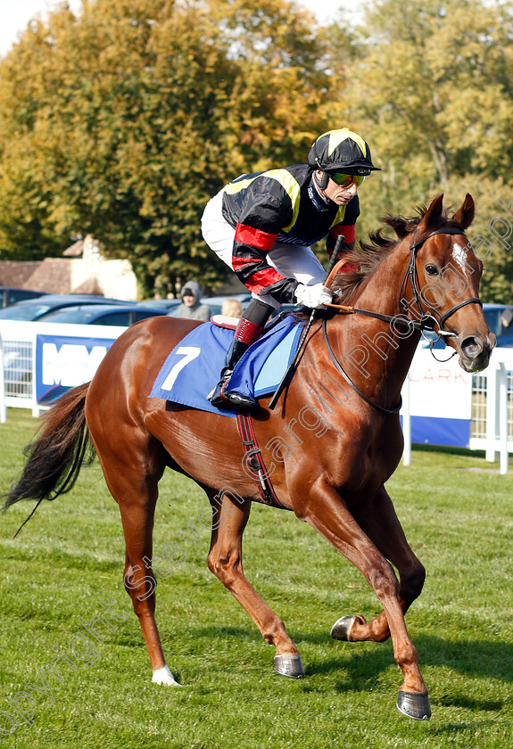 Global-Express-0001 
 GLOBAL EXPRESS (Gerald Mosse)
Salisbury 3 Oct 2018 - Pic Steven Cargill / Racingfotos.com