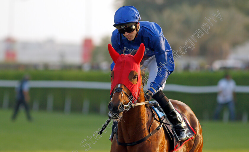 Barney-Roy-0001 
 BARNEY ROY (James Doyle) in red hood
Sakhir Racecourse, Bahrain 19 Nov 2021 - Pic Steven Cargill / Racingfotos.com