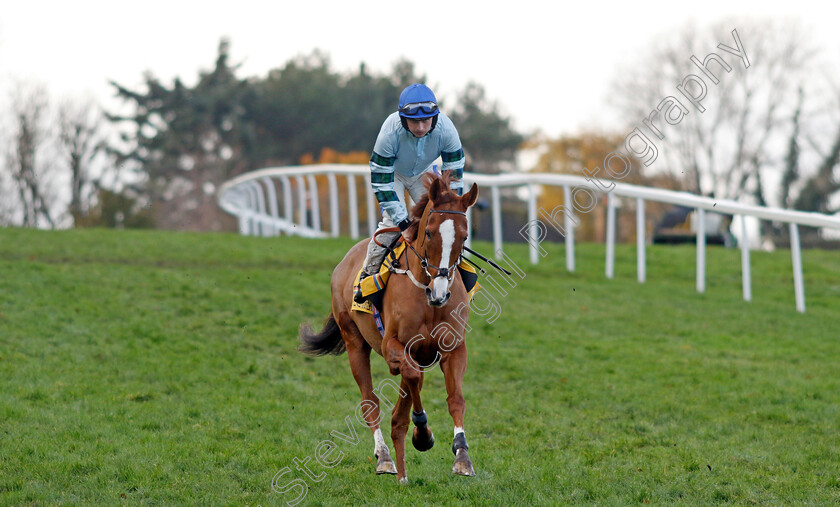 Not-So-Sleepy-0010 
 NOT SO SLEEPY (Sean Bowen) winner of The Betfair Fighting Fifth Hurdle
Sandown 9 Dec 2023 - Pic Steven Cargill / Racingfotos.com