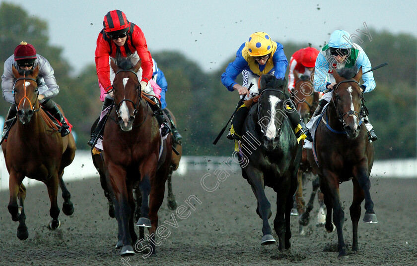 Ledham-0005 
 LEDHAM (2nd right, Ryan Moore) beats HOMBRE CASADO (2nd left) and SIR HAMILTON (right) in The 32Red Handicap
Kempton 18 Sep 2018 - Pic Steven Cargill / Racingfotos.com