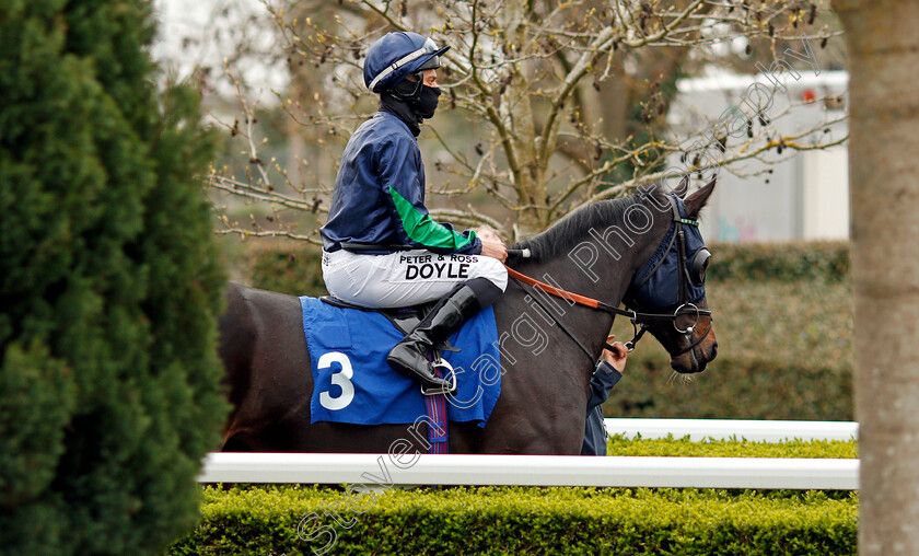 Sayifyouwill-0001 
 SAYIFYOUWILL (Sean Levey)
Kempton 31 Mar 2021 - Pic Steven Cargill / Racingfotos.com