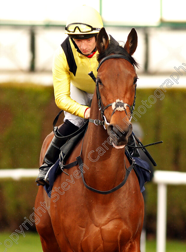 Ebbraam-0002 
 EBBRAAM (Edward Greatrex)
Wolverhampton 28 Nov 2018 - Pic Steven Cargill / Racingfotos.com