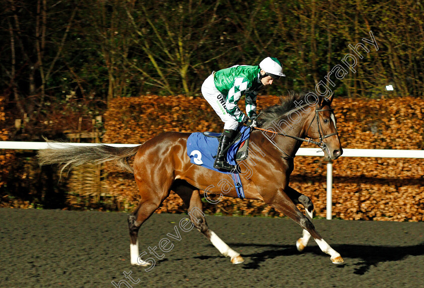 El-Salvaje-0001 
 EL SALVAJE (Luke Morris)
Kempton 4 Mar 2020 - Pic Steven Cargill / Racingfotos.com