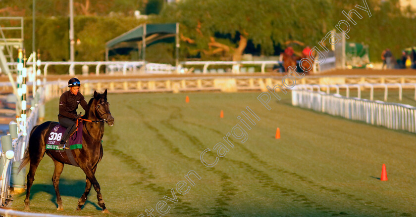 King-Of-Steel-0001 
 KING OF STEEL steps onto the track while training for The Breeders' Cup Turf
Santa Anita 2 Nov 2023 - Pic Steven Cargill / Racingfotos.com