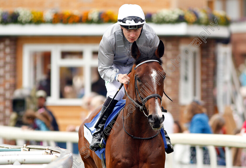 Victory-Day-0001 
 VICTORY DAY (Jamie Spencer)
York 15 Jun 2019 - Pic Steven Cargill / Racingfotos.com