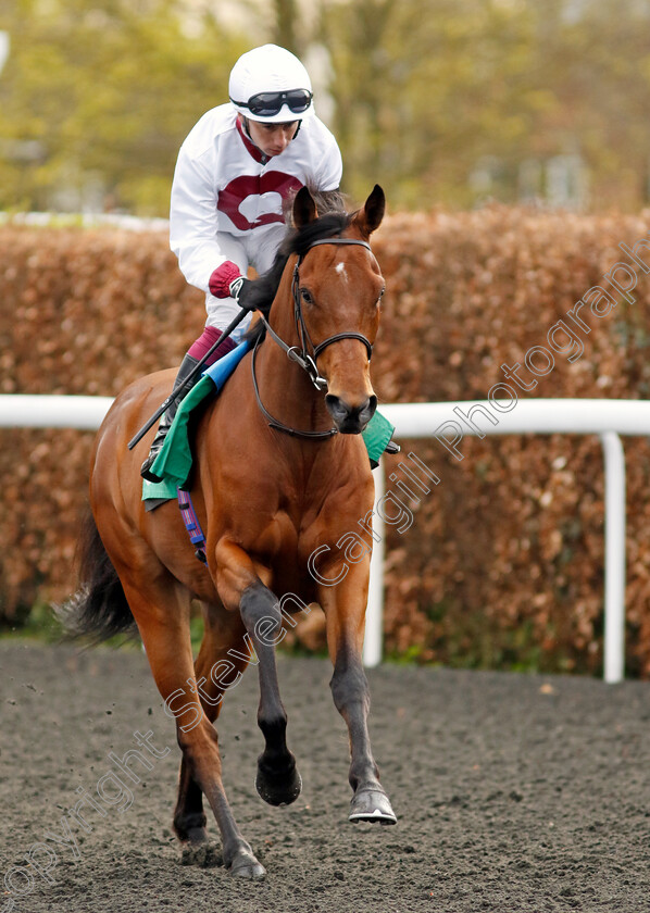 Mamdoh-0001 
 MAMDOH (Oisin Murphy)
Kempton 3 Apr 2024 - Pic Steven Cargill / Racingfotos.com