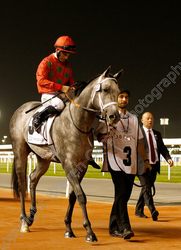 Al-Seel-Legacy s-0001 
 AL SEEL LEGACY'S (Pat Dobbs)
Meydan 10 Jan 2019 - Pic Steven Cargill / Racingfotos.com