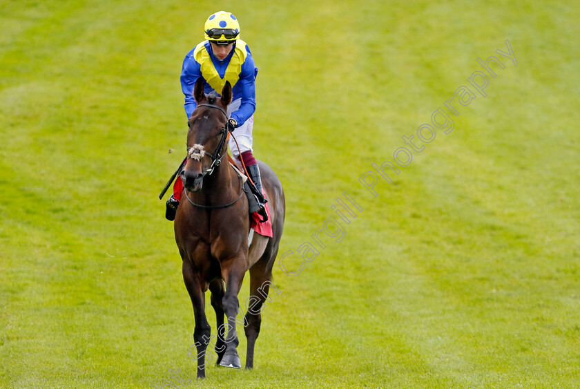 Mount-Teide-0001 
 MOUNT TEIDE (Oisin Murphy)
Sandown 15 Jun 2024 - Pic Steven Cargill / Racingfotos.com