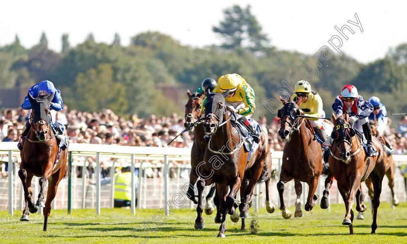 Mustajeer-0006 
 MUSTAJEER (centre, Colin Keane) beats RED GALILEO (left) in The Sky Bet Ebor
York 24 Aug 2019 - Pic Steven Cargill / Racingfotos.com